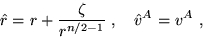 \begin{displaymath}
\hat{r} = r+ \frac{\zeta}{r^{n/2-1}}
\;,\quad \hat{v}^A= v^{A}\;,
\end{displaymath}